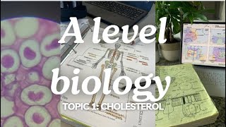 A level biology edexcel A SNAB Topic 1 Cholesterol [upl. by Bernadette]