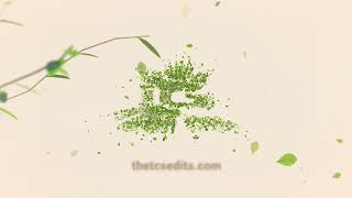 Green Eco Opener Logo animation  logoanimation shorts thechriststudio [upl. by Leile]