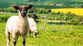 Psalm 23 The Lord Is My Shepherd [upl. by Nuris799]