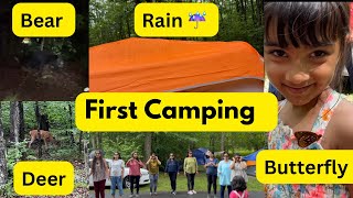 Camping in Rain with Bear Deer amp Butterfly Tobyhanna State Park camping desisibling trending [upl. by Molohs]