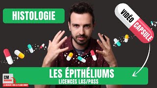 💊CAPSULE DE COURS  Quoi maîtriser sur LES EPITHELIUMS en histologie en Licences LASPASS [upl. by Pontus]