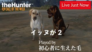 「 ザハンターコールオブザワイルド  theHunterCalloftheWild  COTW 」獣の糞になる覚悟は出来ているんだろうな？45 shorts [upl. by Kevon]