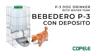 Bebedero Automático con Deposito para Perros  COPELE [upl. by Constancia]