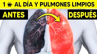 Limpiar Pulmones del Tabaco 🚬 ¿Cómo Limpiar los Pulmones de un Fumador [upl. by Ardelle]