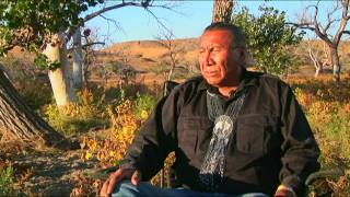 Chief Arvol Looking Horse Speaks of White Buffalo Prophecy [upl. by Alaek]