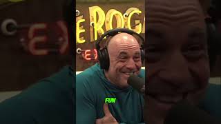 1 Inside The Joe Rogan Experience Conversations amp Election Night Chaos [upl. by Eiuqnimod197]