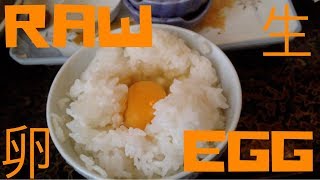 Raw Egg Over Rice [upl. by Dorweiler]