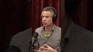 Joe Rogan Michael Shellenberger Secret UFO Government Program 🛸 shorts [upl. by Kati]