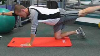 5 Core Stability Exercises You Need to Know [upl. by Kcirddehs]