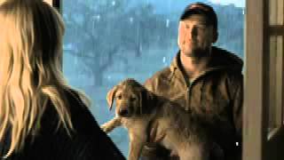 What video storytellers can learn from Budweisers Super Bowl Puppy Love ad [upl. by Eidod]