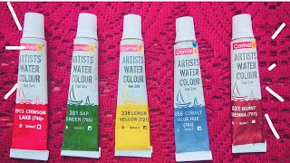 CAMLIN ARTIST WATERCOLOUR TUBE REVIEW 12 SHADES [upl. by Thia40]