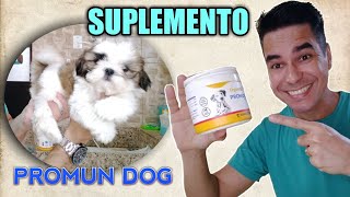 Suplemento para cães [upl. by Konyn]