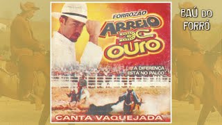 CD FORROZÃO ARREIO DE OURO  BUSCAPÉ CANTA VAQUEJADA 2007 [upl. by Merton]