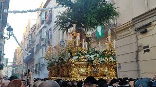 Espectacular Petalada a la Virgen Divina Pastora Coronada por Calle Madre de Dios Málaga [upl. by Price]