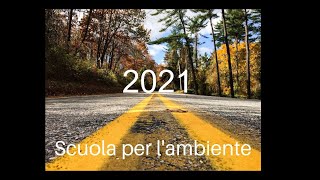 Valutazione del danno ambientale ai sensi del DLgs 15206 [upl. by Munford]