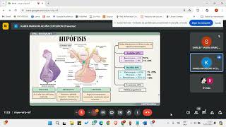 NEUROHIPÓFISIS Y ADENOHIPÓFISIS  SISTEMA ENDOCRINO I [upl. by Wilek]