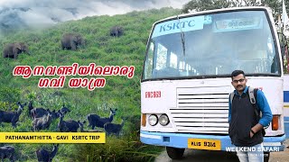 ആനവണ്ടിയിലൊരു ഗവി യാത്ര Pathanamthitta  Gavi  KSRTC Gavi Trip [upl. by Sancho]