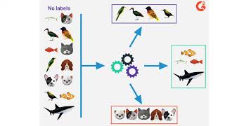 Machine Learning Types Supervised Unsupervised Reinforcement Learning machinelearning [upl. by Ennahteb194]