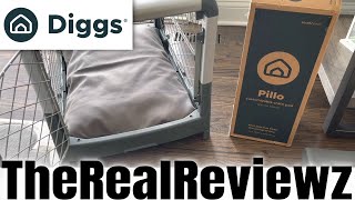 Diggs Pillo Dog Bed vs Snooz  COUPON [upl. by Boak533]