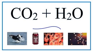 CO2  H2O Carbon dioxide  Water [upl. by Ynaitirb]