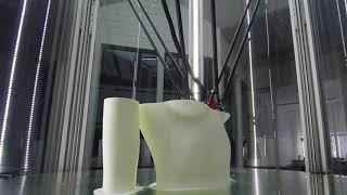 3D Printing Torso  Tractus3D [upl. by Nohsauq]