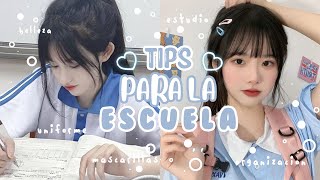 37 TIPS PARA LA ESCUELA QUE DEBES SABER ❥ belleza organización uniforme estudio peinados🍥 [upl. by Earley]