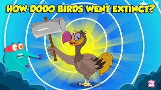 The Mysterious Extinction Of Dodo Birds  Story of Dodo Birds  Extinct Birds  The Dr Binocs Show [upl. by Arramahs]