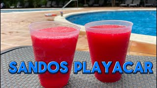 Sandos Playacar ✅2024 All inclusive Beach Resort amp Spa Playa del Carmen [upl. by Hgielsa]