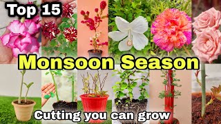 Top 15 Plant Cuttings you can grow at HomeGarden Monsoon Season Special [upl. by Schilling]