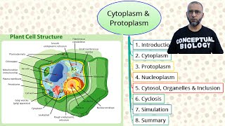 Cytoplasm and Protoplasm with Dr Sohail Jamil Qureshi  MDCAT Biology [upl. by Vanzant]