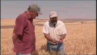 Wheat Harvest in Washington State  Americas Heartland [upl. by Crescentia]