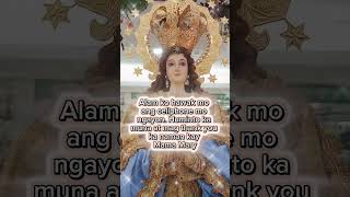 Mama Mary pray for us mamamaryprayforus fyp viralvideo shorts prayer highlights catholic [upl. by Ahsener]