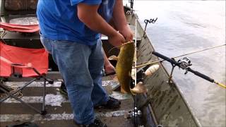 Catfishing on the Yadkin River for Flatheads [upl. by Aicirtak689]