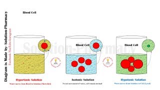 Hypertonic  Isotonic  Hypotonic Solution  Simple Explanation of Hypertonic Through Animation [upl. by Bixby688]