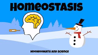 Why is homeostasis important [upl. by Cammi]