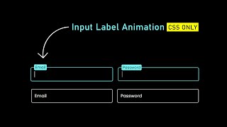 CSS Input Field Text Animation [upl. by Mun569]