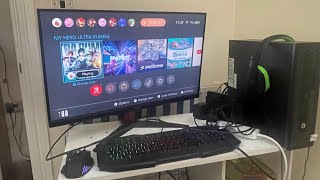 Connecting Nintendo switch to the pc [upl. by Eojyllib]