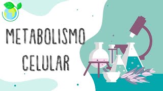 Laboratorio de Biología El metabolismo [upl. by Gardell]