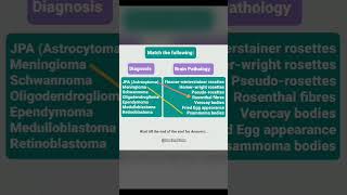 quiz Brain tumors pathology [upl. by Etteoj]