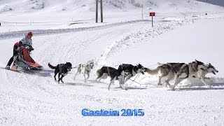 Schlittenhunderennen in Sportgastein 2015 Sony 4 K [upl. by Nalid535]