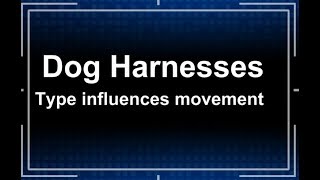 Dog Harness Choice and Its Impact on Movement by Working Class Canine [upl. by Timothee662]