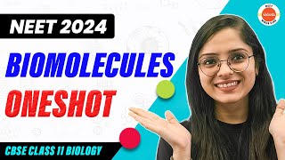 Biomolecules in One Shot  CBSE Class 11 Biology  NEET 2024 [upl. by Feld]