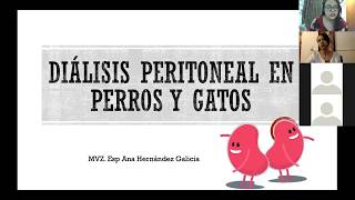 Webinar  Diálisis peritoneal en perros y gatos  MVZ EMCPyG Ana Hernández Galicia [upl. by Yanaton]