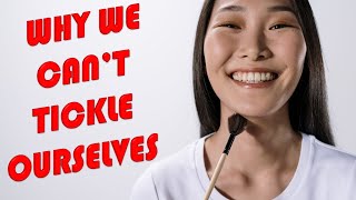 Why We Cant Tickle Ourselves  Efference Copy Explained [upl. by Ivory320]