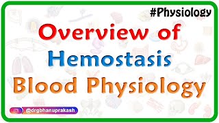 Overview of Hemostasis  Blood physiology Animated video lecture for MBBS [upl. by Nessej366]