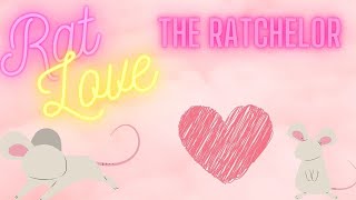 The Ratchelor  Rat Dating Sim [upl. by Button996]