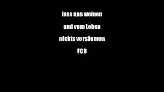 HD Tage voller Sonne inkl Lyrics  Bayernfans United [upl. by Brent]