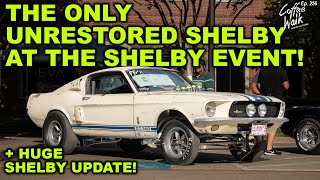 200 Shelby Mustangs amp Cobras  UPDATES ARE BACK [upl. by Yzzik925]