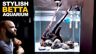 Making A Stylish Betta Aquarium For Your Home [upl. by Sredna]