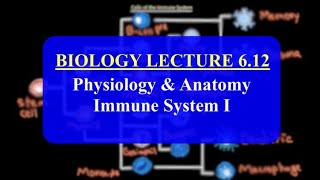 IMAT Biology Lesson 612  Anatomy and Physiology  Immune System Part I [upl. by Doykos]